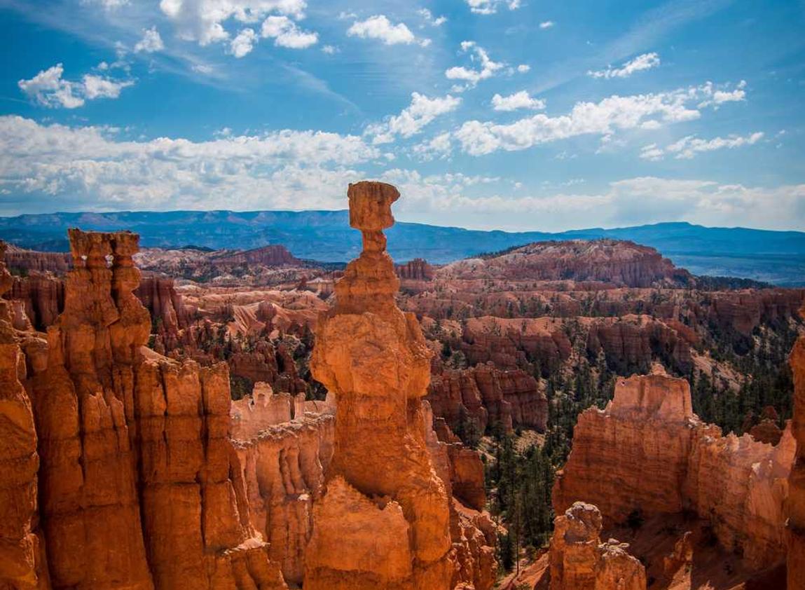 海鸥实名账号:湖北商标注册代理合同范本
