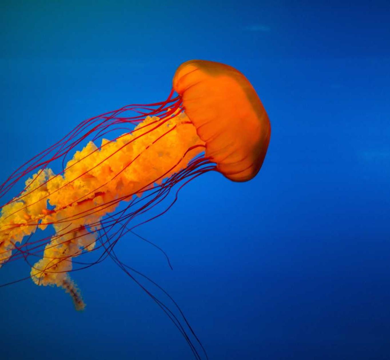 微信出售官网:美的热水器app详情下载教程