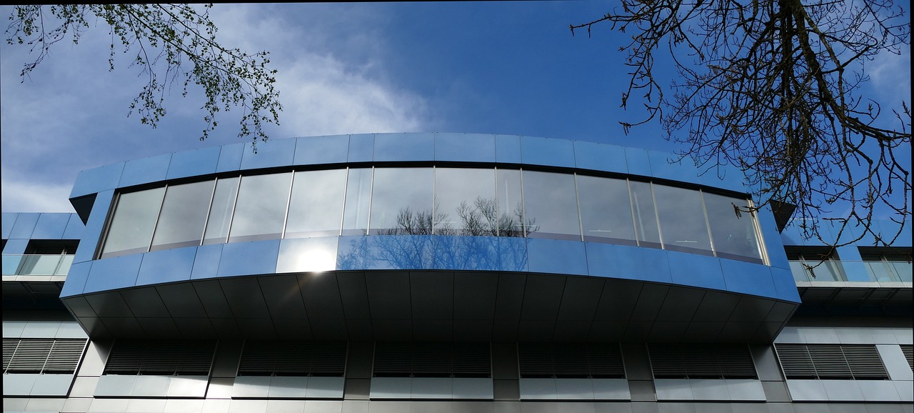 太初行：种子购买平台推荐电话