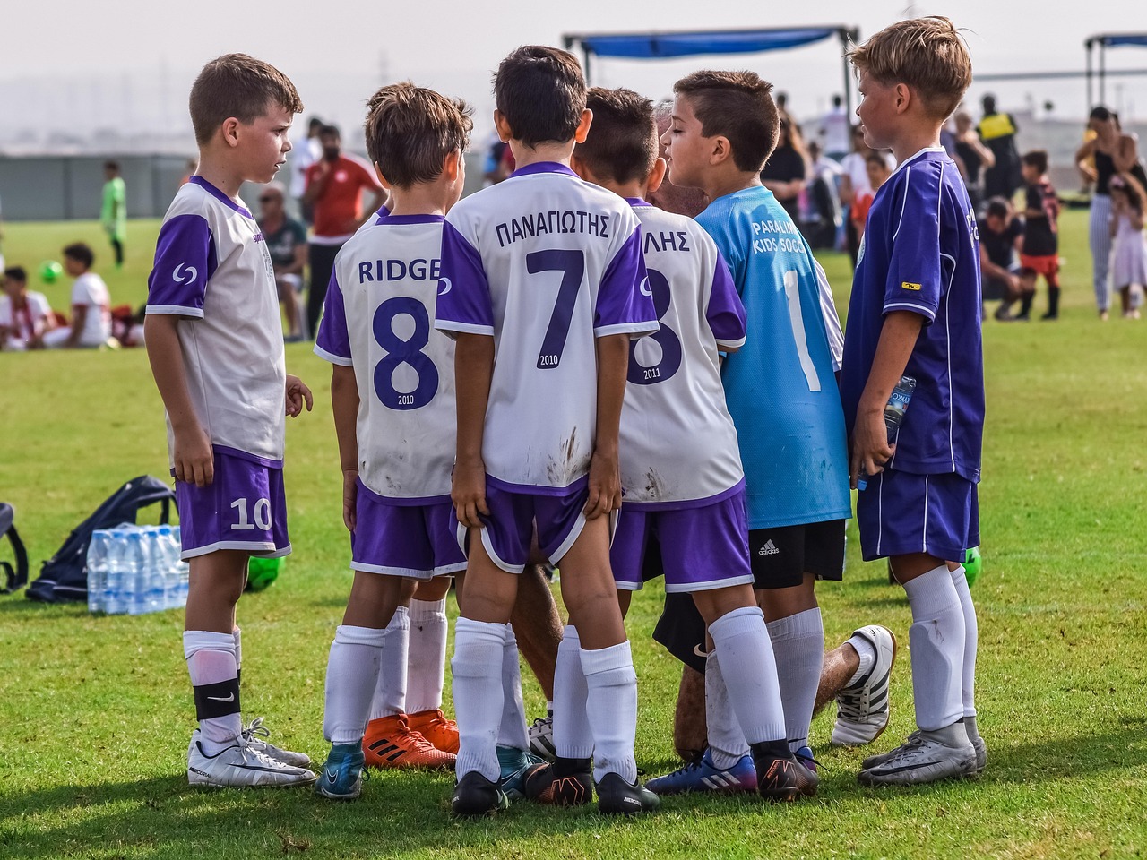 焦点游戏代理平台排行