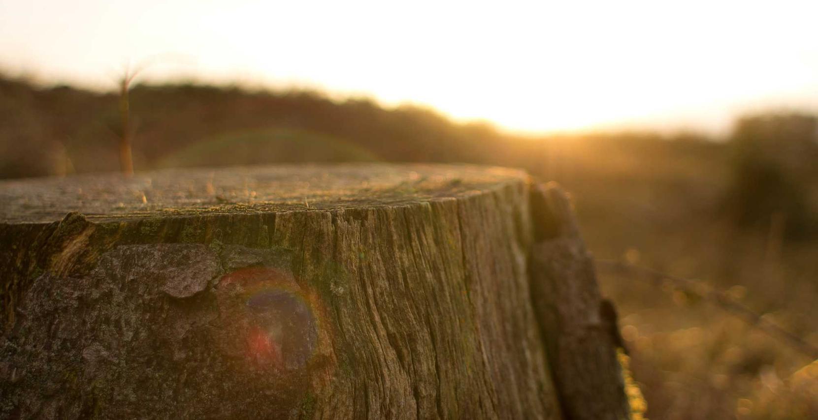 新宝gg天津企业代理记账注册服务